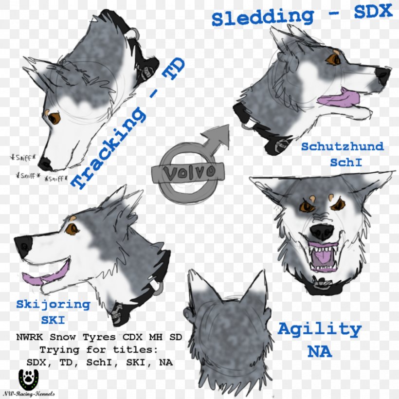 Dog Breed Snout Shoe Font, PNG, 894x894px, Dog Breed, Breed, Carnivoran, Dog, Dog Breed Group Download Free