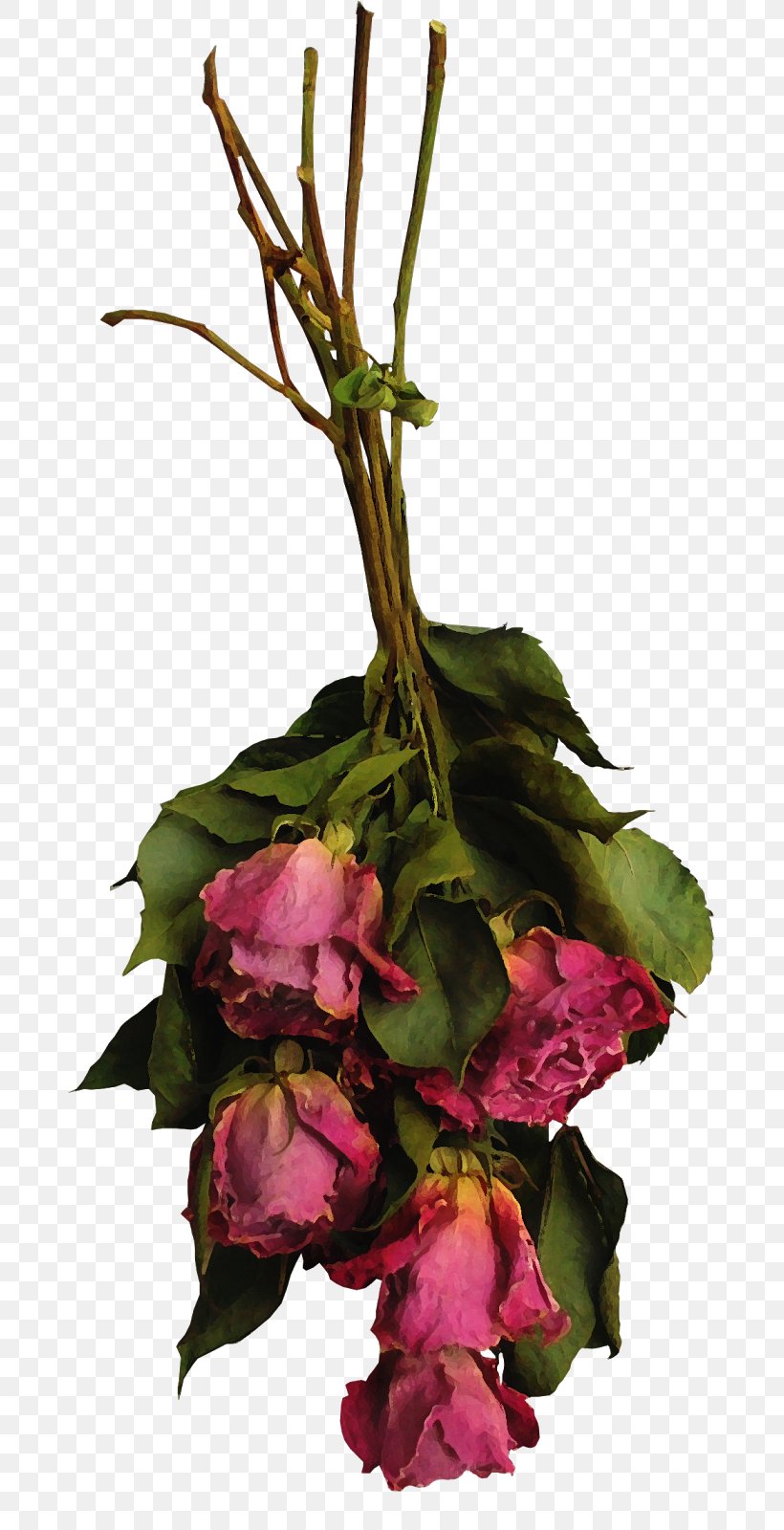 Floral Design Cut Flowers Rose Flower Bouquet, PNG, 762x1600px, Floral Design, Child, Cut Flowers, Floristry, Flower Download Free