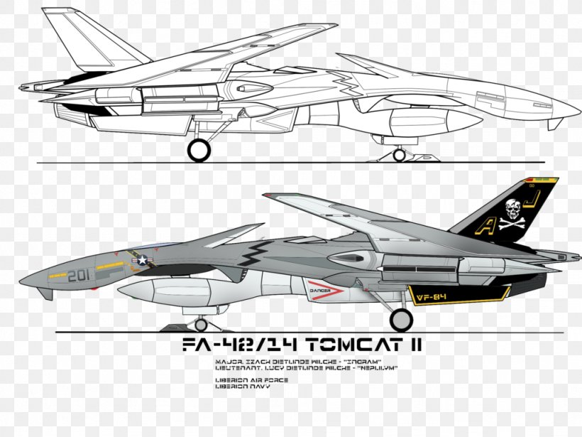 Grumman F-14 Tomcat Airplane Fighter Aircraft Boeing F/A-18E/F Super Hornet, PNG, 1024x768px, Grumman F14 Tomcat, Aerospace Engineering, Air Force, Aircraft, Aircraft Carrier Download Free