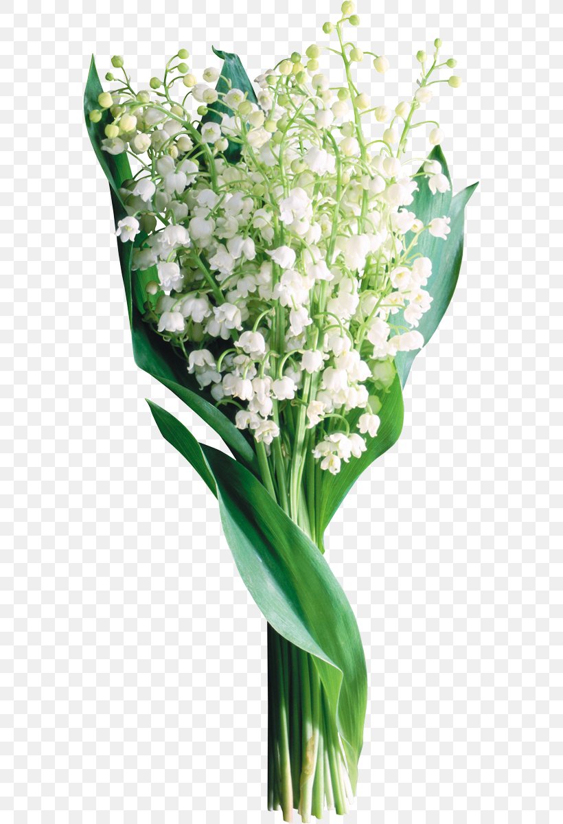 Lily Of The Valley, PNG, 578x1200px, Animaatio, Artificial Flower, Cut Flowers, Floral Design, Floristry Download Free