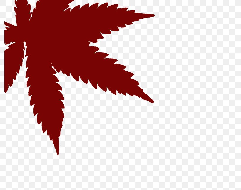 Maple Leaf Desktop Wallpaper Cannabis Cultivation Font, PNG, 790x646px, Maple Leaf, Cannabis, Cannabis Cultivation, Computer, Flowering Plant Download Free