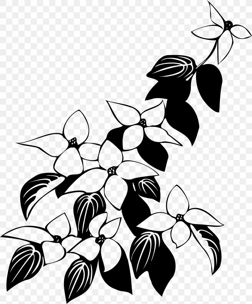 Flowering Dogwood Kousa Dogwood Drawing, PNG, 1960x2362px, Flowering Dogwood, Artwork, Black And White, Branch, Color Download Free