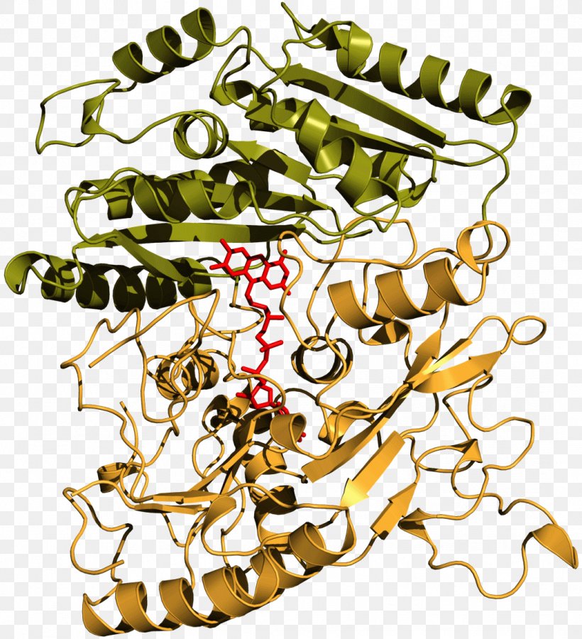 Vanillyl-alcohol Oxidase Vanillyl Alcohol Chemistry, PNG, 1081x1187px, Vanillylalcohol Oxidase, Artwork, Bioinorganic Chemistry, Body Jewelry, Branch Download Free
