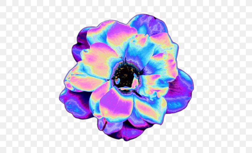 Vaporwave Cut Flowers Tumblr, PNG, 500x500px, Vaporwave, Aesthetics, Anemone, Blue, Cobalt Blue Download Free