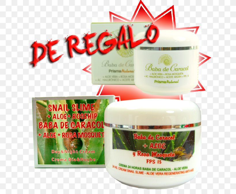 Cream Rose Hip Herb Aloe Vera, PNG, 677x677px, Cream, Aloe Vera, Herb, Herbal, Rose Hip Download Free