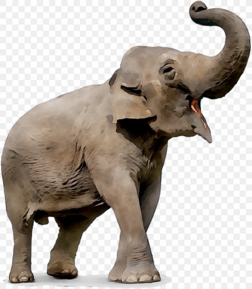 Elephant Stock Photography Image Drawing Ringling Bros. And Barnum & Bailey Circus, PNG, 1044x1198px, Elephant, African Elephant, Animal, Animal Figure, Art Download Free