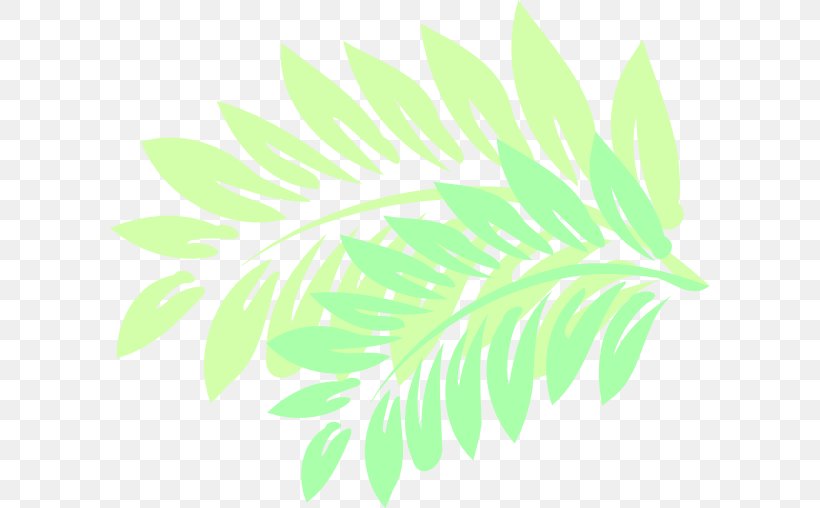 Leaf Hawaiian Hibiscus Plant Stem Computer Mouse, PNG, 600x508px, Leaf, Arecaceae, Blanket, Branch, Computer Mouse Download Free