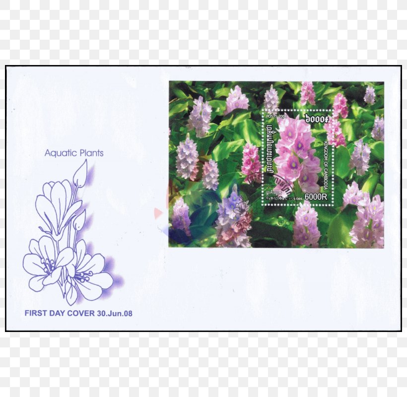 Postage Stamps Lavender Flora Flower, PNG, 800x800px, Postage Stamps, Bulletin Board, Flora, Floral Design, Flower Download Free