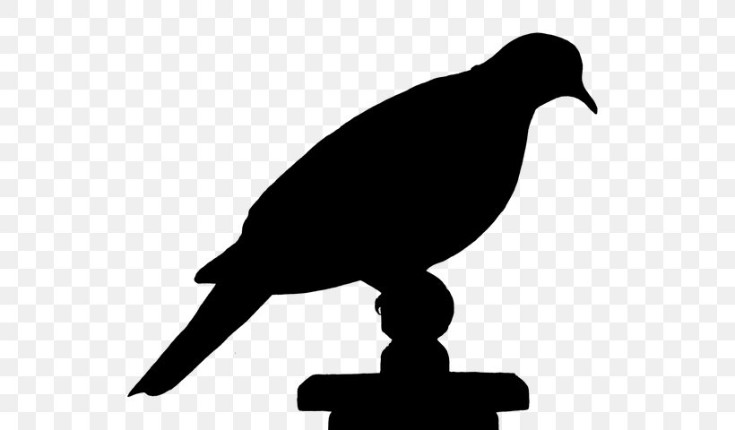 Bird Silhouette, PNG, 595x480px, Bird, Beak, Bird Illustrations, Crow, Crowlike Bird Download Free