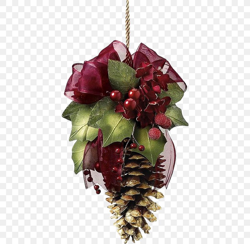 Conifer Cone Pine Christmas Decoration, PNG, 418x800px, Conifer Cone, Berry, Bombka, Christmas, Christmas Decoration Download Free
