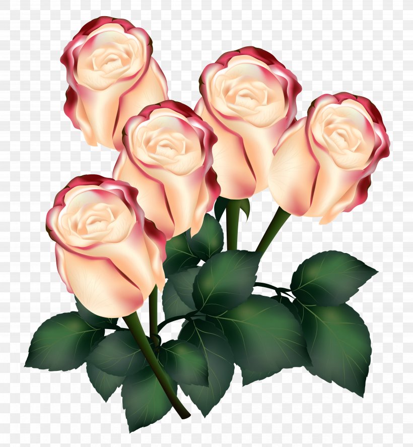 Garden Roses Centifolia Roses Flower, PNG, 4948x5354px, Centifolia Roses, Artificial Flower, Bud, Cut Flowers, Decoupage Download Free