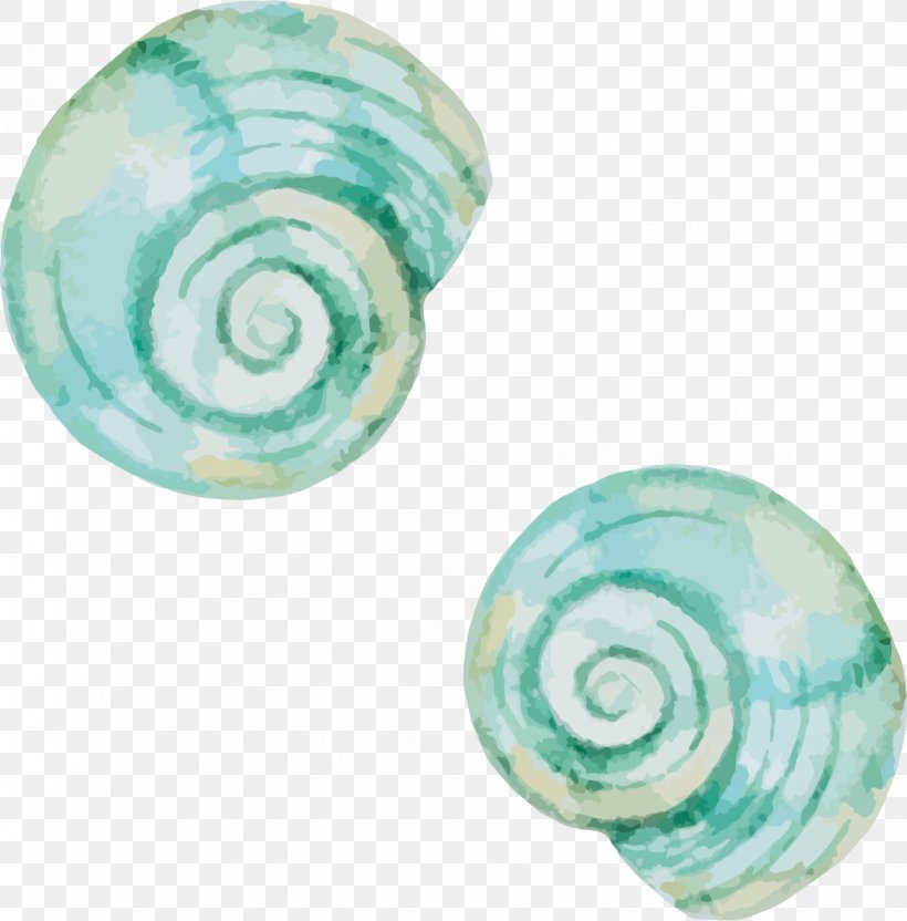 Mollusc Shell Seashell Snail, PNG, 1174x1192px, Mollusc Shell, Aqua, Body Jewelry, Chinese White Shrimp, Gastropod Shell Download Free