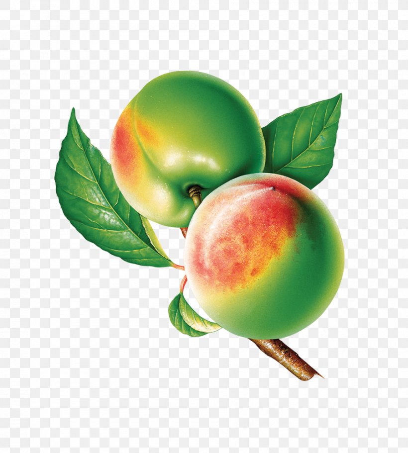Peach Icon, PNG, 900x1000px, Peach, Apple, Food, Fruit, Google Images Download Free