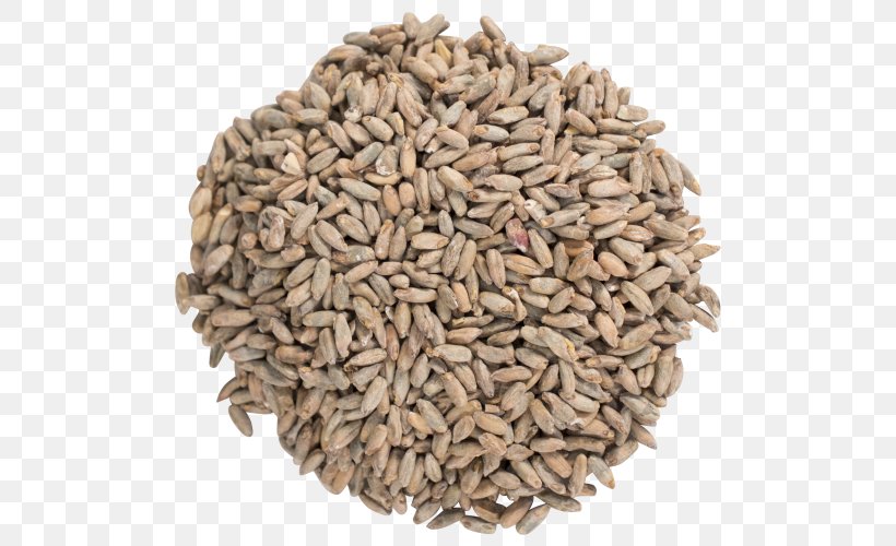 Spice Herb Food Fennel Beer, PNG, 500x500px, Spice, Beer, Caraway, Cereal, Cereal Germ Download Free