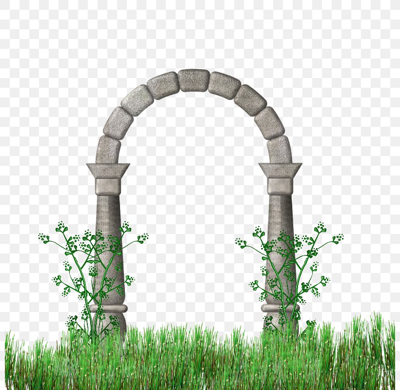 Column Arch Vault, PNG, 800x800px, Column, Arch, Architecture, Blog, Garden Download Free