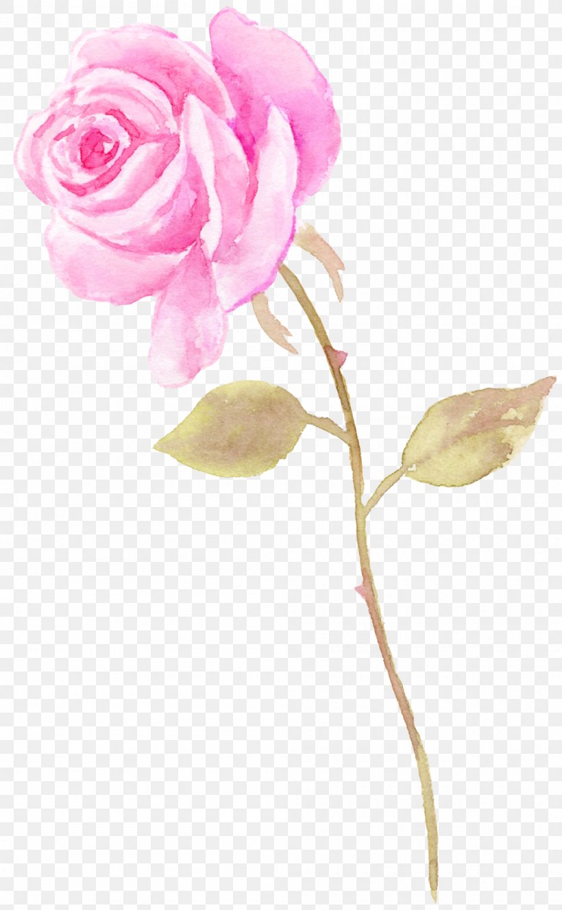 Garden Roses Watercolor Painting Flower, PNG, 1000x1620px, Garden Roses, Aesthetics, Artificial Flower, Cut Flowers, Designer Download Free