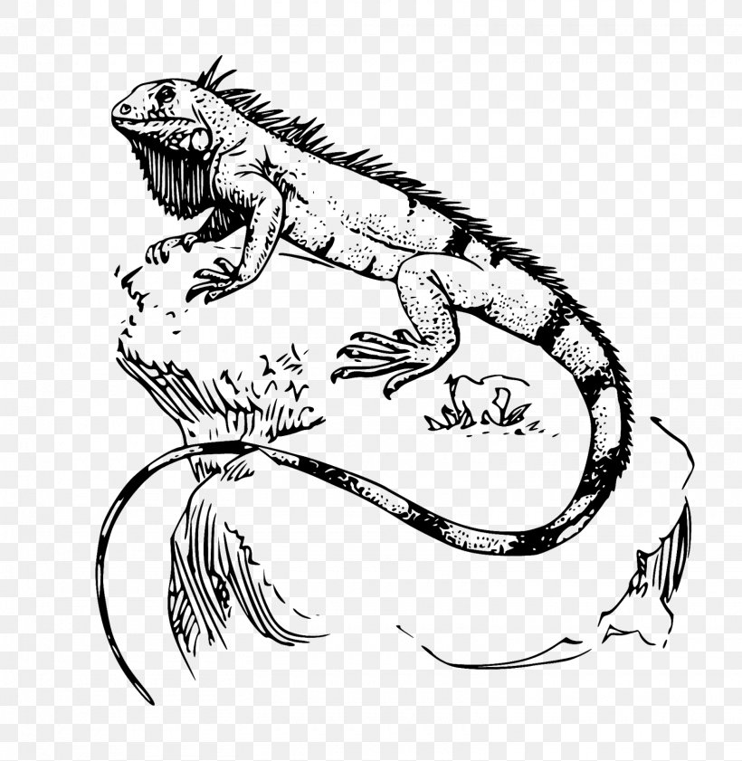 Green Iguana Lizard Reptile Drawing, PNG, 1560x1600px, Green Iguana, Arm, Art, Artwork, Black And White Download Free