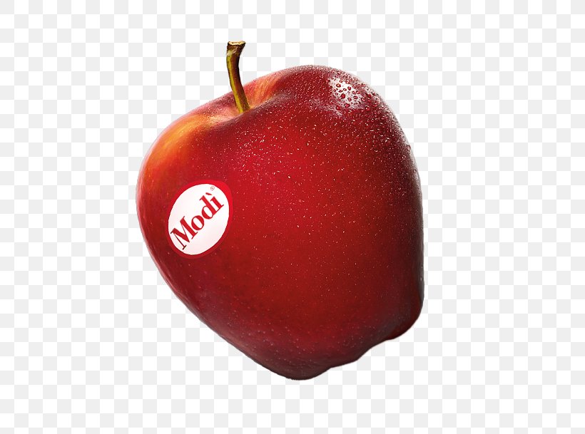 Apple Accessory Fruit McIntosh Laboratory Civ Consorzio Italiano Vivaisti, PNG, 616x609px, Apple, Accessory Fruit, Biodiversity, Civ Consorzio Italiano Vivaisti, Environmentally Friendly Download Free