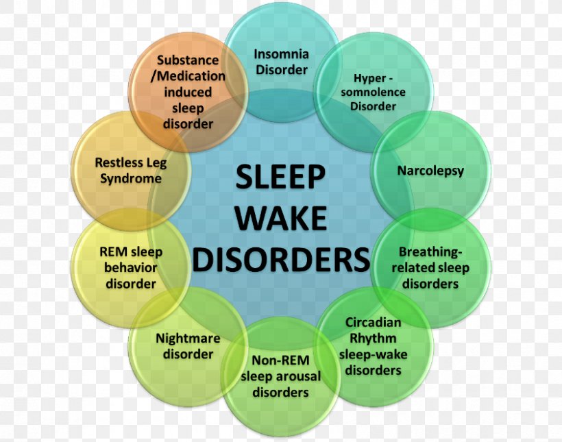Sleep Disorder Rapid Eye Movement Sleep Behavior Disorder Sleep Medicine, PNG, 842x663px, Sleep Disorder, Brand, Communication, Diagram, Insomnia Download Free