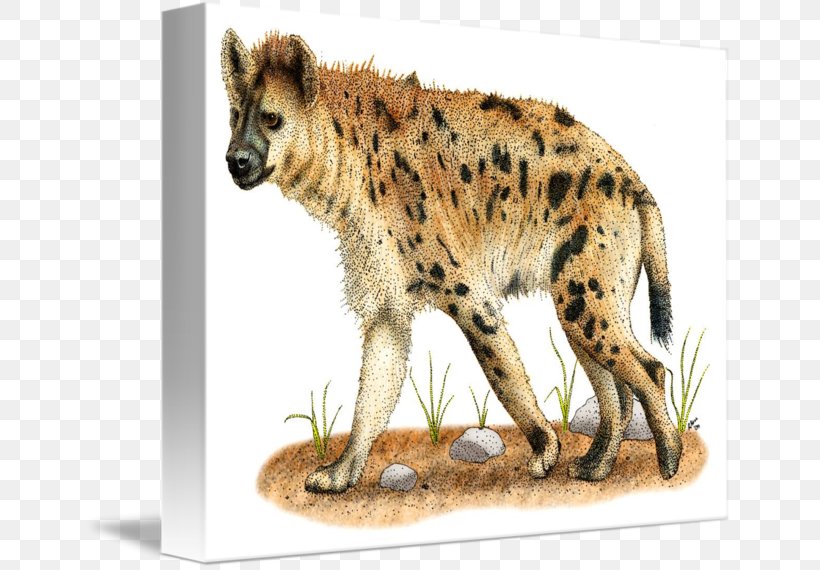 Spotted Hyena Gemsbok Cheetah Lion, PNG, 650x570px, Hyena, Animal, Big Cat, Big Cats, Biting Download Free