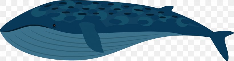 Dolphin Blue Shoe, PNG, 2080x548px, Blue, Aqua, Azure, Cetacea, Cobalt Blue Download Free