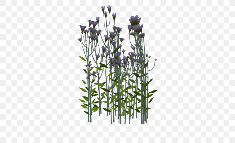 English Lavender Twig Plant Stem Flowerpot, PNG, 500x500px, English Lavender, Branch, Flora, Flower, Flowering Plant Download Free