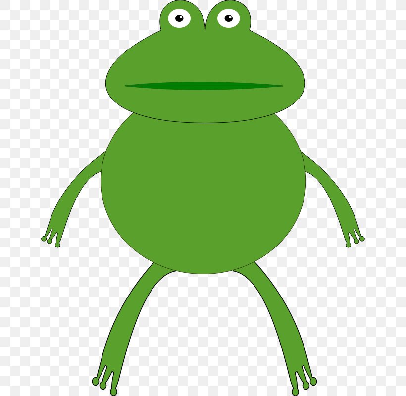 Frog Lithobates Clamitans Clip Art, PNG, 654x800px, Frog, American Bullfrog, Amphibian, Grass, Green Download Free