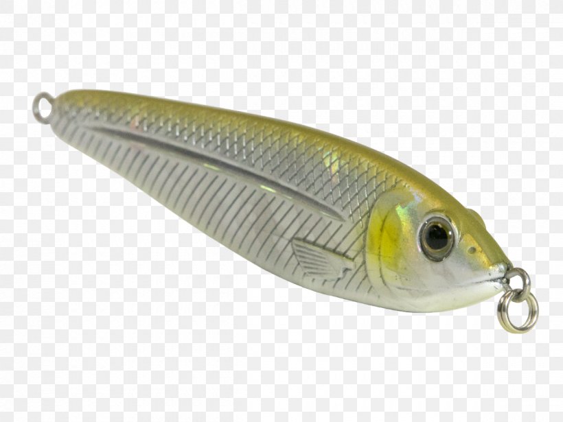 Spoon Lure Osmeriformes Oily Fish AC Power Plugs And Sockets, PNG, 1200x900px, Spoon Lure, Ac Power Plugs And Sockets, Bait, Fish, Fishing Bait Download Free