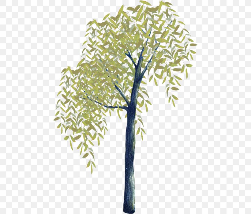 Twig Branch Plant Stem Tree Time, PNG, 473x699px, Twig, Branch, Flora, Organism, Plant Download Free