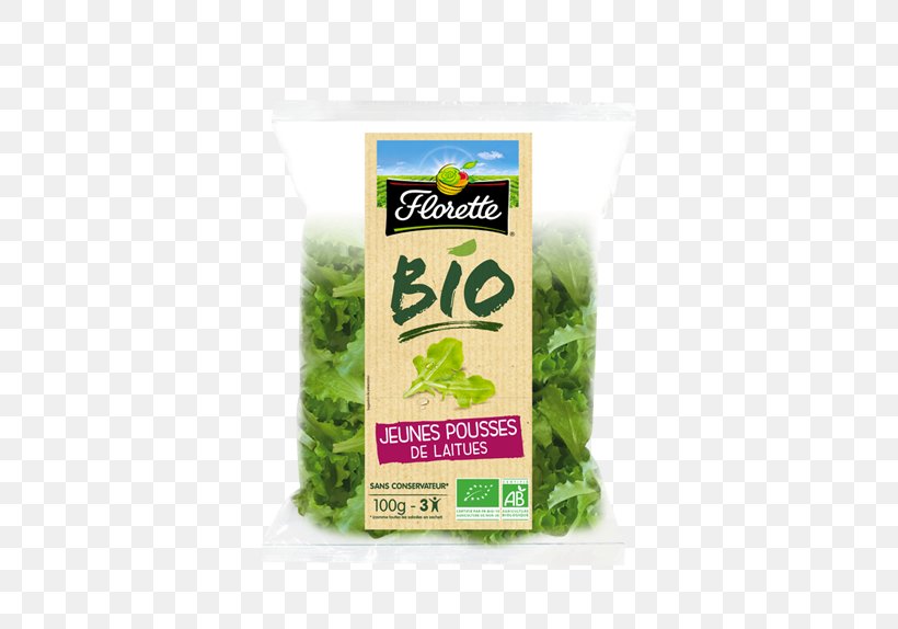Organic Food Leaf Vegetable Butterhead Lettuce Organic Farming Shoot, PNG, 500x574px, Organic Food, Agriculture, Arugula, Butterhead Lettuce, Corn Salad Download Free