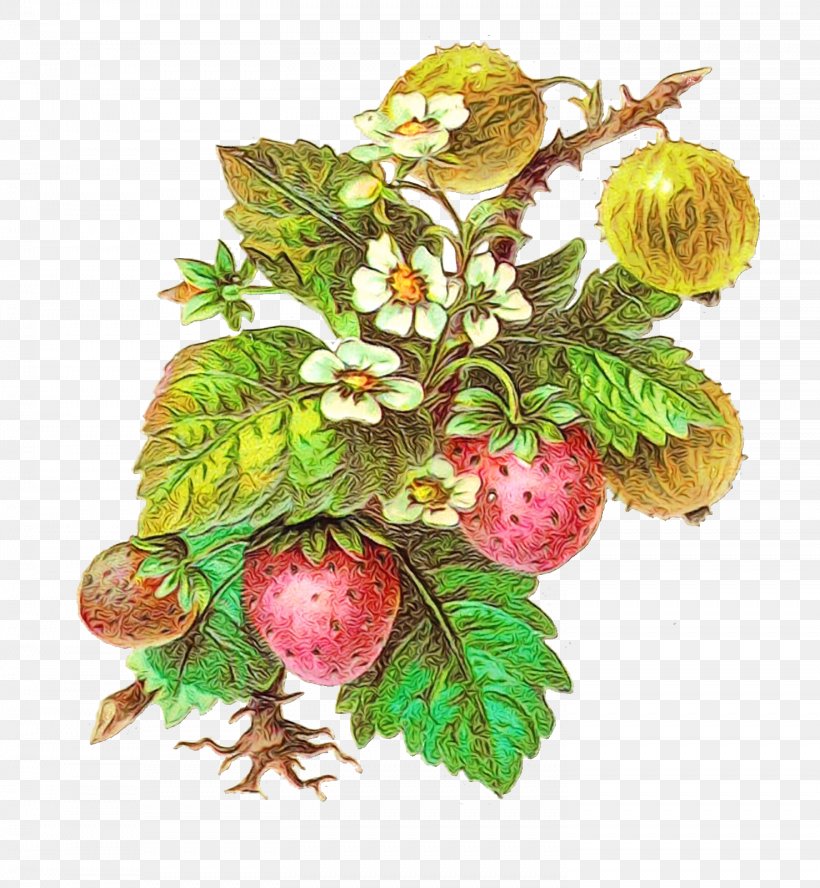 Plant Flower Fruit Berry Tree, PNG, 1476x1600px, Watercolor, Berry, Bouquet, Flower, Flowering Plant Download Free