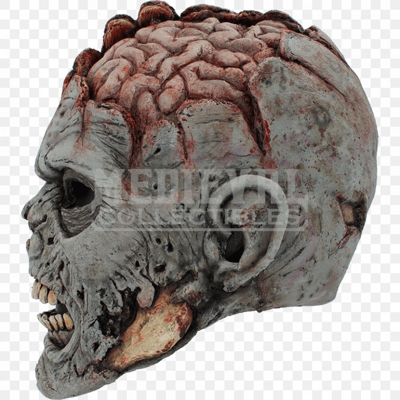 Skull Brain Mask Head Grey Matter, PNG, 850x850px, Watercolor, Cartoon, Flower, Frame, Heart Download Free