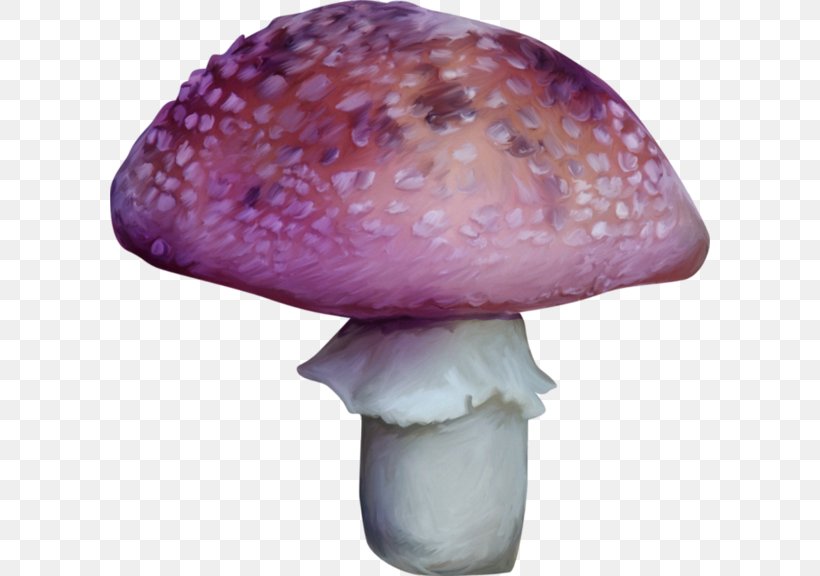 Agaricaceae Edible Mushroom Medicinal Fungi Purple, PNG, 600x576px, Agaricaceae, Edible Mushroom, Fungus, Ingredient, Medicinal Fungi Download Free