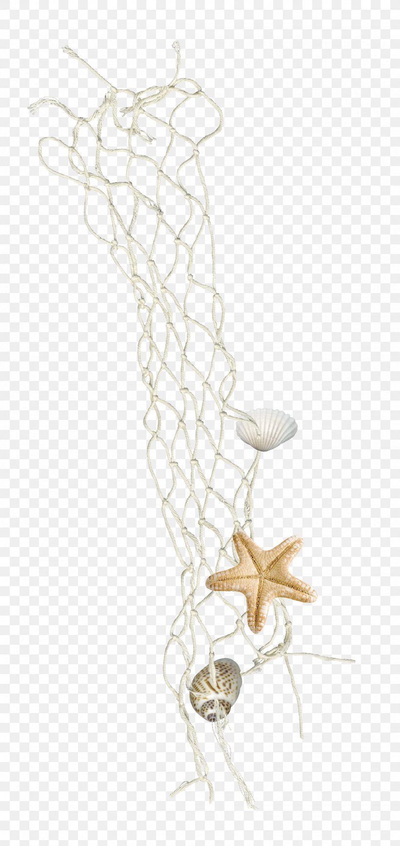 Rope Knot Fishing Net, PNG, 1553x3282px, Rope, Fishing Net, Gratis, Knot, Material Download Free