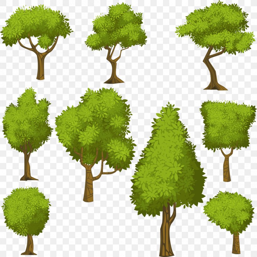 Tree Euclidean Vector Shrub Illustration, PNG, 999x1000px, Tree, Biome, Branch, Evergreen, Flowerpot Download Free