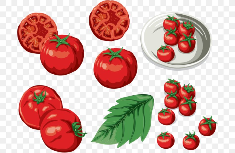 Bush Tomato Food Clip Art, PNG, 699x533px, Tomato, Apple, Basil, Bush Tomato, Cheese Download Free