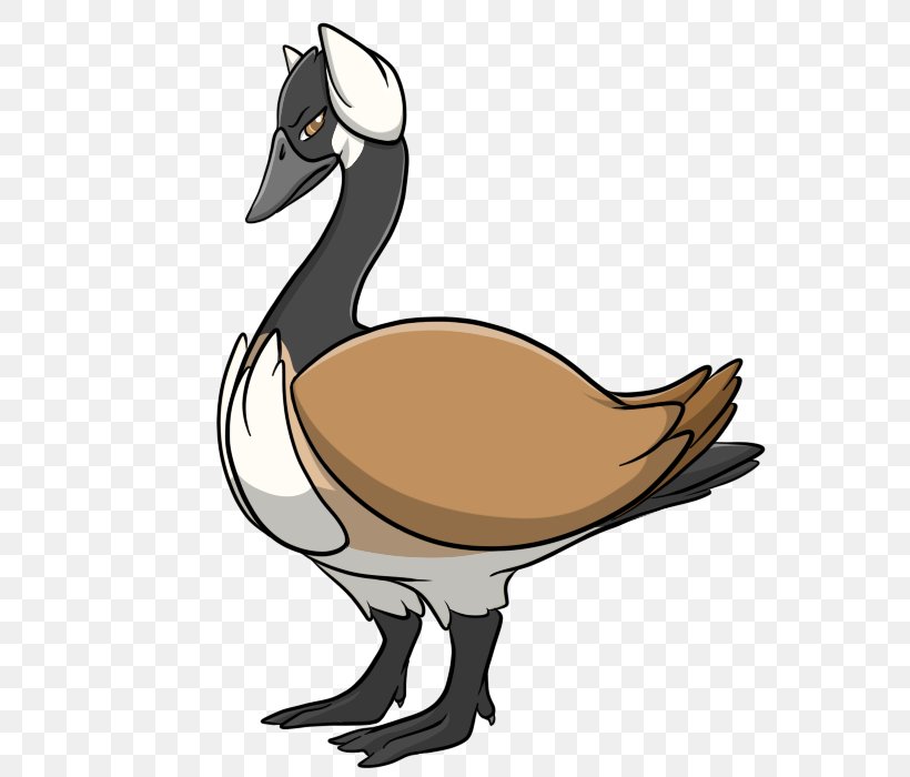 Duck Goose Clip Art Feather Fauna, PNG, 700x700px, Duck, Beak, Bird, Ducks Geese And Swans, Fauna Download Free