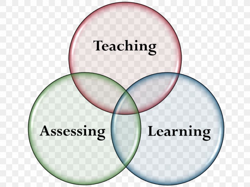 Organization Student Management Negotiation Educational Assessment, PNG, 900x675px, Organization, Area, Brand, Class, Diagram Download Free