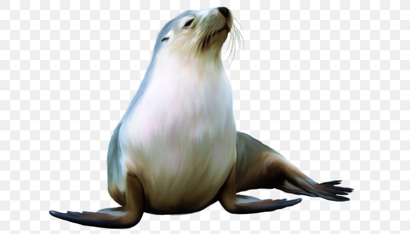 Sea Lion Harbor Seal Earless Seal Walrus, PNG, 640x467px, Sea Lion, Beaver, Data Compression, Eared Seal, Earless Seal Download Free