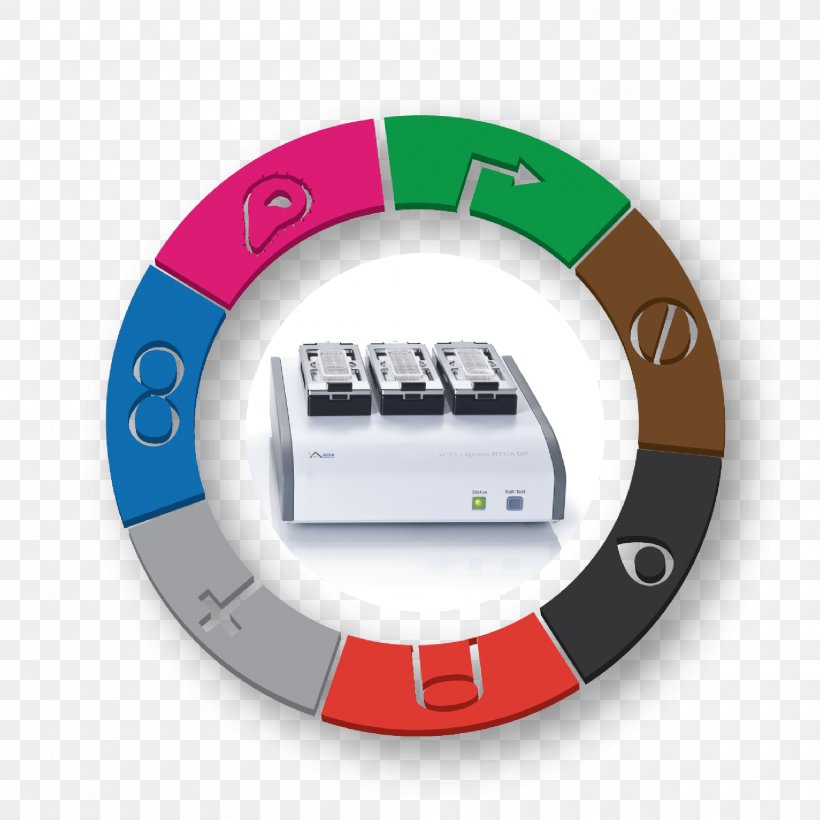 Cell Biology System Assay Cell Biology, PNG, 2000x2000px, Cell, Assay, Biology, Brand, Cell Biology Download Free