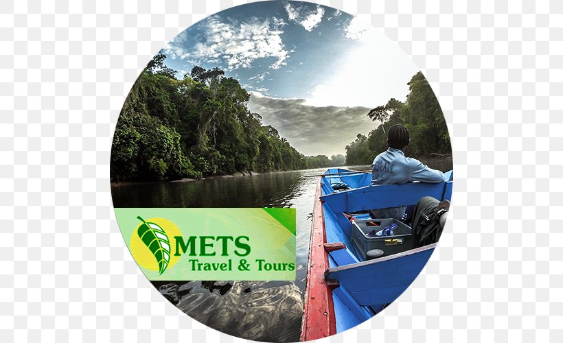 Mets Travel & Tours Suriname Colakreek New York Mets Tourism, PNG, 500x500px, New York Mets, Airline Ticket, Brand, Ecosystem, Leisure Download Free