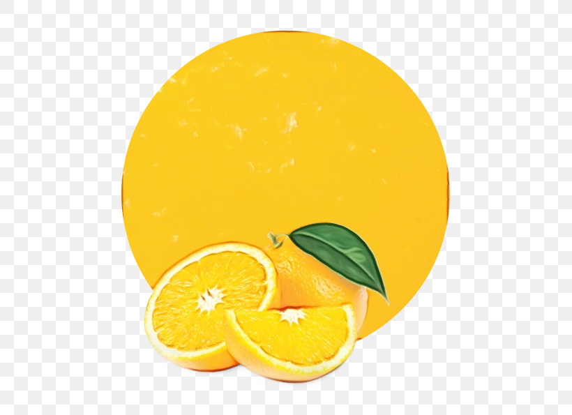 Orange, PNG, 536x595px, Watercolor, Bitter Orange, Citric Acid, Citron, Citrus Download Free
