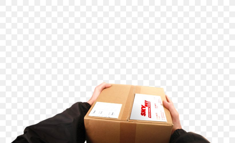 Package Delivery Product Cargo Courier, PNG, 810x500px, Delivery, Business, Cargo, Courier, Express Inc Download Free