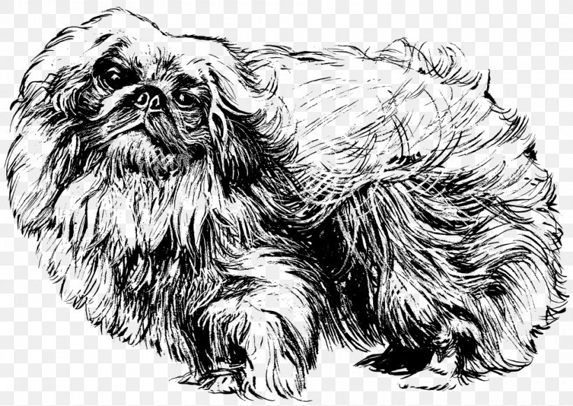 Pekingese Papillon Dog Shih Tzu Lhasa Apso Poodle, PNG, 1000x709px, Pekingese, Affenpinscher, Artwork, Black And White, Carnivoran Download Free