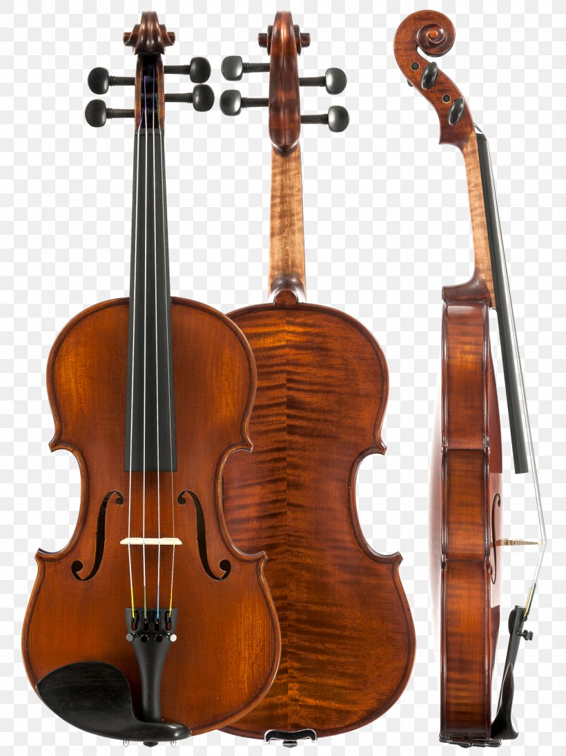 Ukulele Cello Amati Violin Viola, PNG, 1347x1800px, Watercolor, Cartoon, Flower, Frame, Heart Download Free