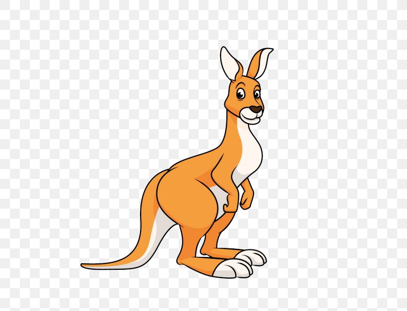 Vector Graphics Kangaroo Illustration Image Clip Art, PNG, 626x626px, Kangaroo, Animal Figure, Cartoon, Drawing, Fawn Download Free