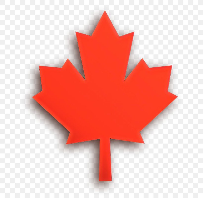 Canada Maple Leaf, PNG, 699x800px, Maple Leaf, Bunting, Canada, Coquelicot, Flag Of Canada Download Free