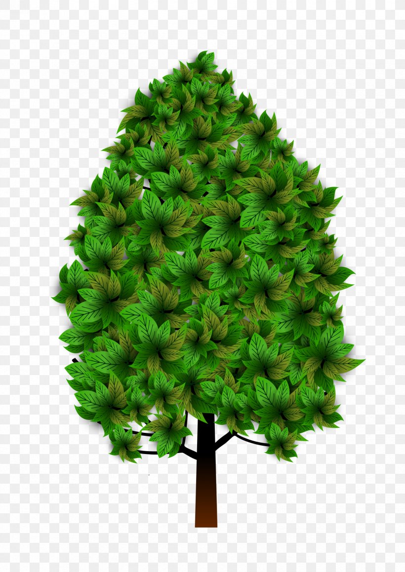 Tree Plant Clip Art, PNG, 1697x2400px, Tree, Branch, Christmas Tree, Conifer, Conifers Download Free