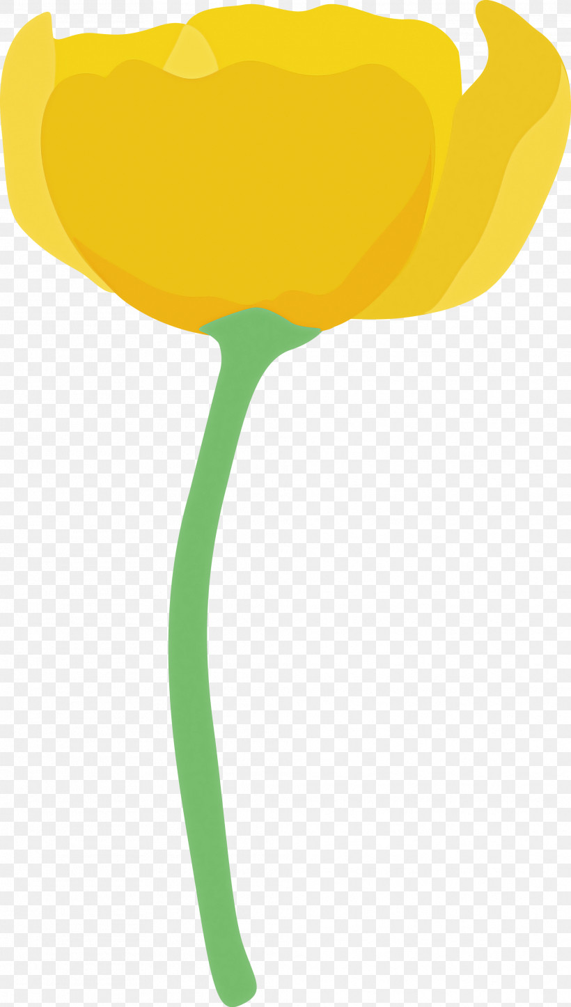 Poppy Flower, PNG, 2026x3573px, Poppy Flower, Lily Family, Plant, Plant Stem, Tulip Download Free