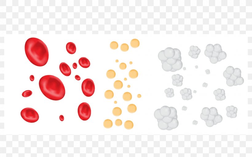 White Blood Cell Platelet, PNG, 960x600px, Blood, Blood Cell, Blood Plasma, Body Jewelry, Cell Download Free